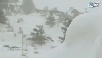 Zakon.kz, фото - Новости Zakon.kz от 24.01.2014 23:44