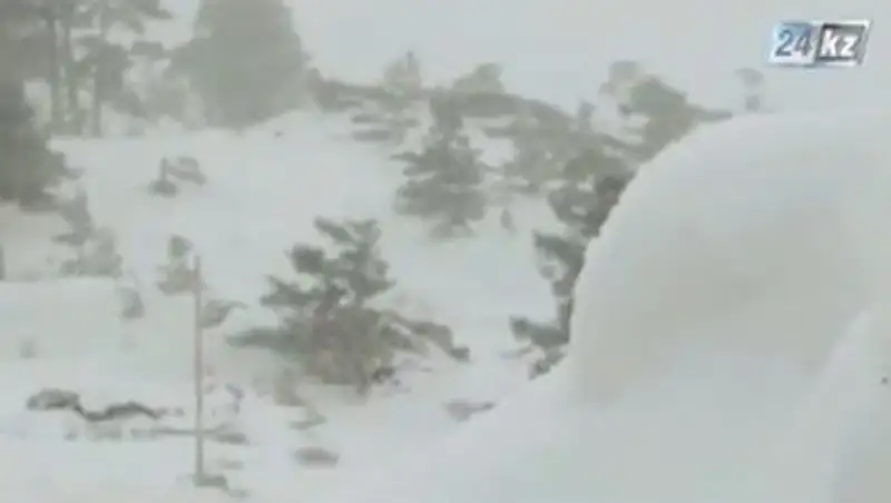 В Баянаульском национальном парке пропал человек 