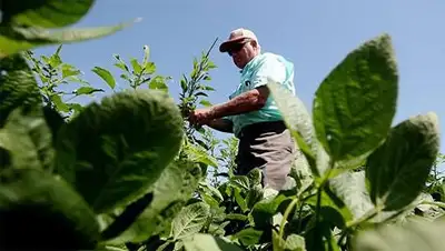 Zakon.kz, фото - Новости Zakon.kz от 05.08.2014 21:18