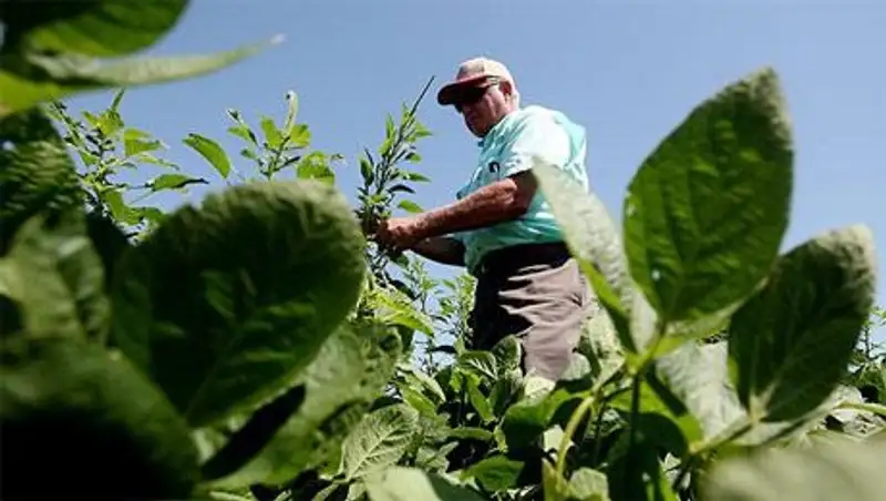 Кыргызстан начал спуск воды для нужд фермеров юга Казахстана