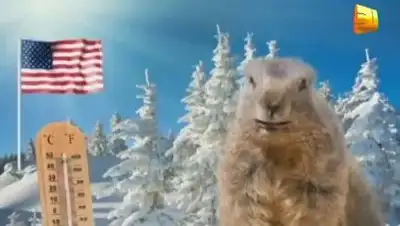 Zakon.kz, фото - Новости Zakon.kz от 04.02.2014 15:30