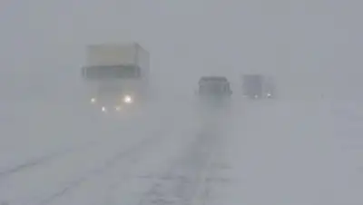 Zakon.kz, фото - Новости Zakon.kz от 23.01.2017 18:38