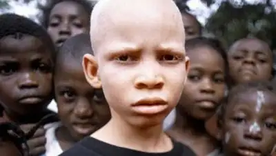 Zakon.kz, фото - Новости Zakon.kz от 09.10.2017 10:56