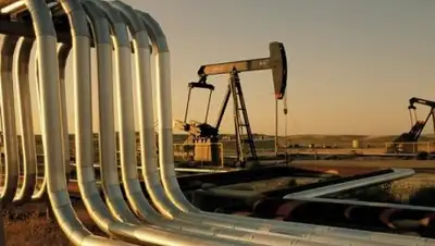 inform.kz, фото - Новости Zakon.kz от 10.10.2018 17:32