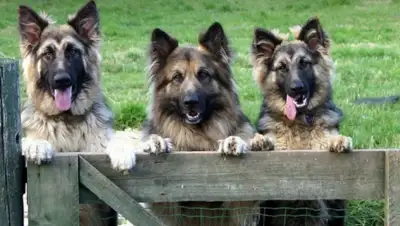 Zakon.kz, фото - Новости Zakon.kz от 20.10.2015 23:25