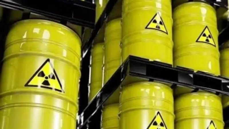 В Казахстане благоприятная среда для низкообогащенного урана - Терри Вуд