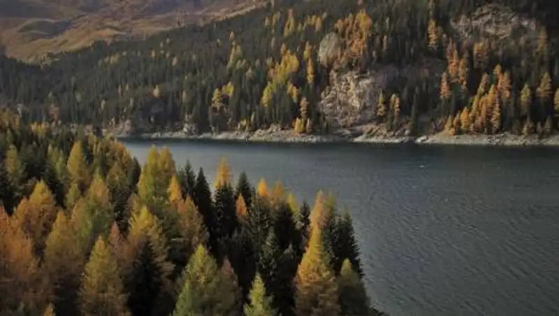 Россия незаконно забрала у Китая территории на Дальнем Востоке - Die Welt