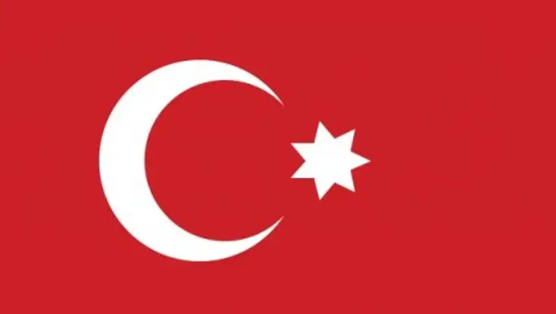 Турция начала расследование исламофобии в странах ЕС