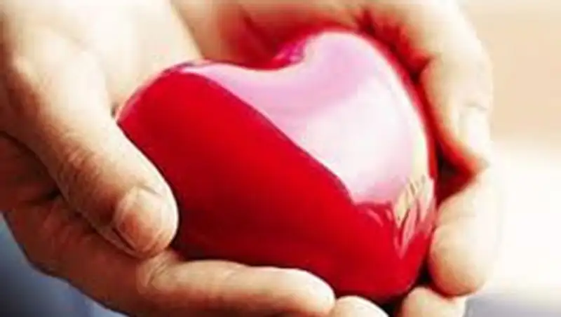 В Мажилисе поддержали поправки в Кодекс "О здоровье народа", касающиеся донорства органов