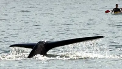 Zakon.kz, фото - Новости Zakon.kz от 06.02.2016 19:15