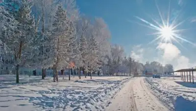 almaty.tv, фото - Новости Zakon.kz от 19.01.2021 14:41