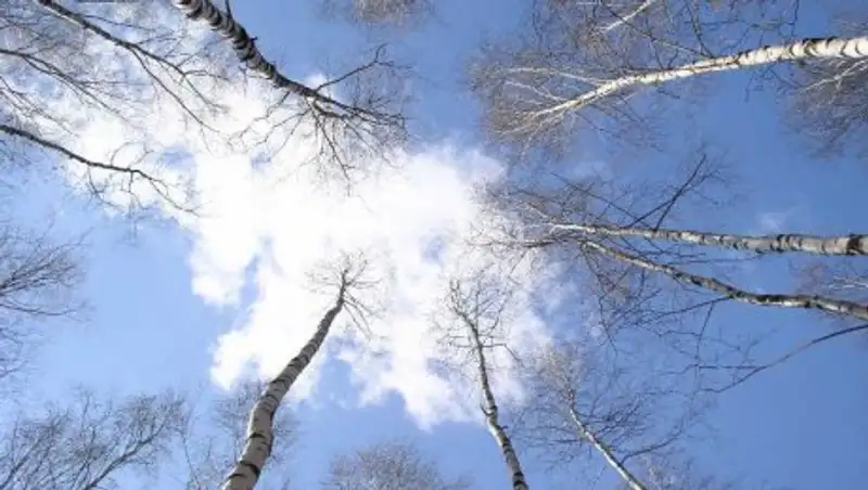 На большей части Казахстана 12 февраля ожидается ясная погода