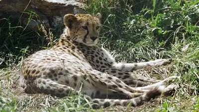 Zakon.kz, фото - Новости Zakon.kz от 25.10.2016 00:13