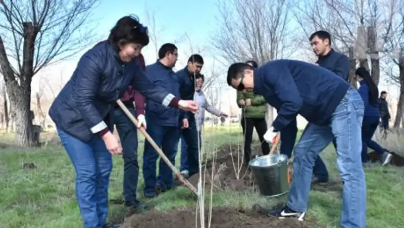 Зеленый подарок от госслужащих