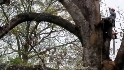 Zakon.kz, фото - Новости Zakon.kz от 26.04.2017 03:56