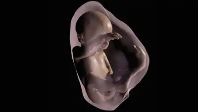 Zakon.kz, фото - Новости Zakon.kz от 07.02.2017 19:40