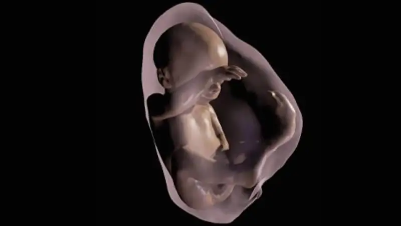 Китаянка родила ребенка из эмбриона, который 16 лет был в криоконсервации