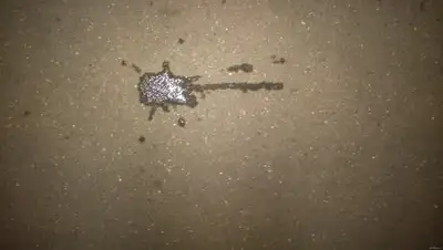 Zakon.kz, фото - Новости Zakon.kz от 10.01.2017 22:59