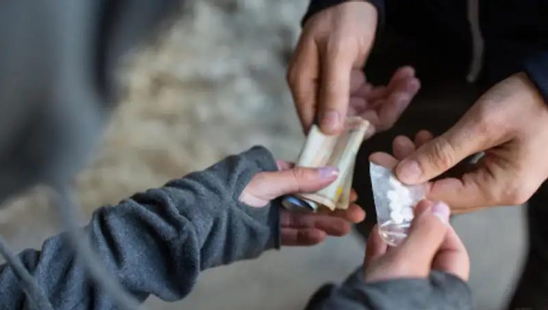 Ерболат Мухамеджан прокомментировал информацию о наркопритоне в вузе Шымкента