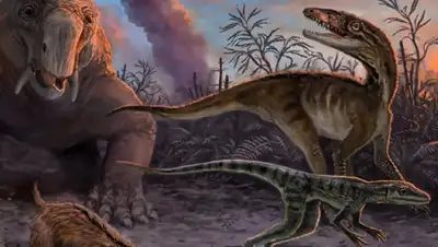 Zakon.kz, фото - Новости Zakon.kz от 08.12.2015 13:24