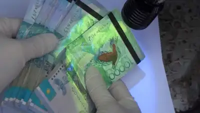 кадр из видео, фото - Новости Zakon.kz от 10.01.2020 18:38