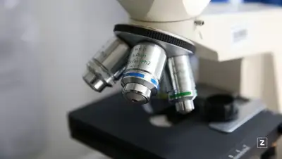 исследование, фото - Новости Zakon.kz от 02.01.2022 06:41