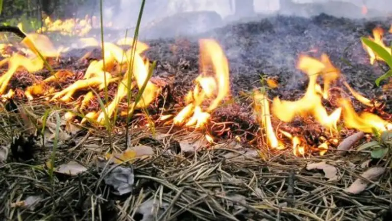 О&#1178;О-да &#1257;рт &#1179;ауіпсіздігін к&#1199;шейту басталды   