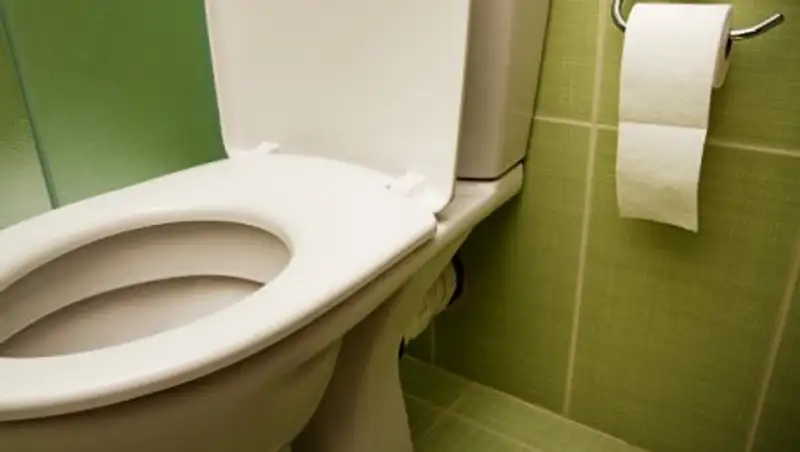 Чем опасны общественные туалеты