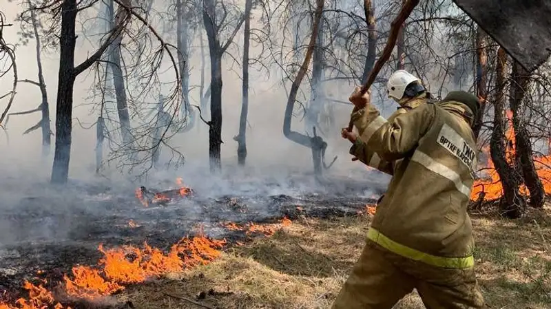 пожарные спасатели, фото - Новости Zakon.kz от 29.12.2022 09:56