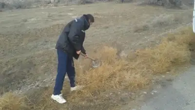 Zakon.kz, фото - Новости Zakon.kz от 19.11.2015 03:31