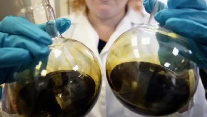Ученые Казани научились использовать бактерии для контроля качества бензина