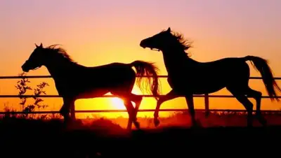 Экспресс К, фото - Новости Zakon.kz от 04.05.2018 14:26