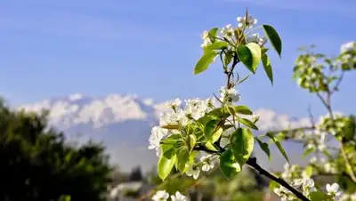 today.kz, фото - Новости Zakon.kz от 04.04.2018 12:13