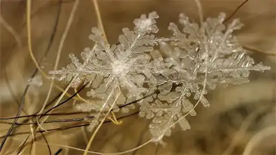 Zakon.kz, фото - Новости Zakon.kz от 21.11.2013 00:00