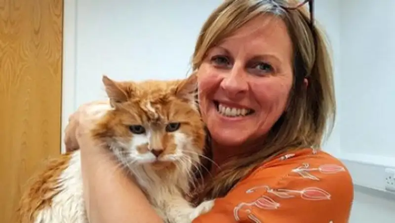 Самой старой кошке в мире исполнилось 30 лет