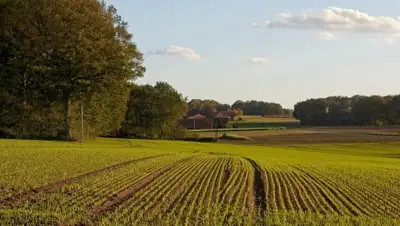 Istory.kz, фото - Новости Zakon.kz от 29.11.2017 14:20