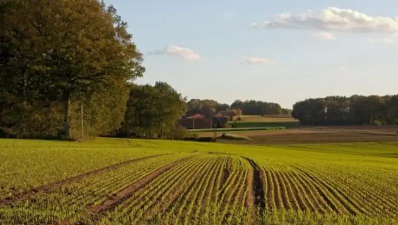 Создание электронной карты почвенного и геоботанического обследования завершат в 2021 году