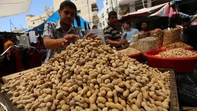 Ashraf Amra / Globallookpress.com, фото - Новости Zakon.kz от 17.04.2018 15:06