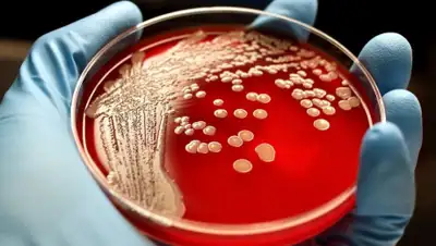 Facebook, фото - Новости Zakon.kz от 29.07.2020 15:22