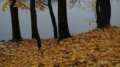 из открытых источников, фото - Новости Zakon.kz от 27.01.2019 19:43