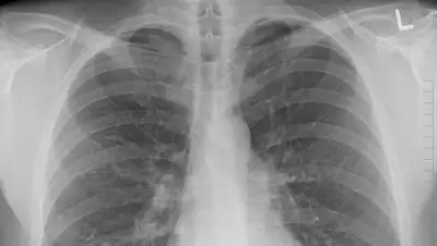 из открытых источников, фото - Новости Zakon.kz от 19.10.2020 09:09