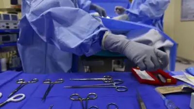 pexels.com, фото - Новости Zakon.kz от 30.10.2019 16:58