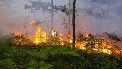 Zakon.kz, фото - Новости Zakon.kz от 27.05.2016 01:11