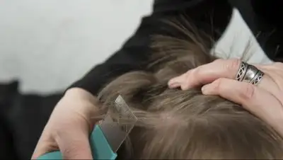 Pikabu, фото - Новости Zakon.kz от 31.10.2018 15:43