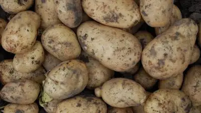 pixabay, фото - Новости Zakon.kz от 16.03.2021 07:34