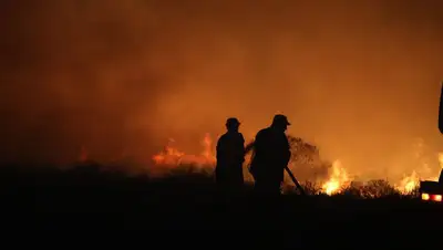 пожар в ВКО, фото - Новости Zakon.kz от 03.10.2022 19:52