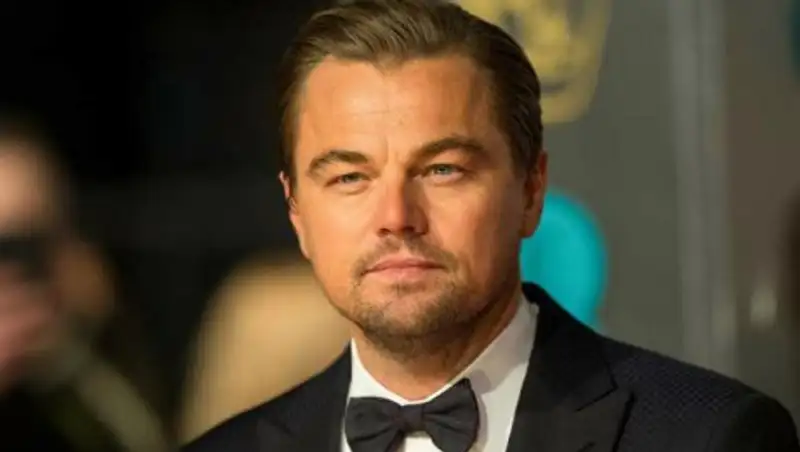 Ди Каприо присоединился к петиции в защиту косаток в Приморье