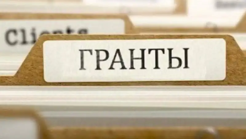 Члены ННС обратились к Назарбаеву из-за обвинений в коррупции