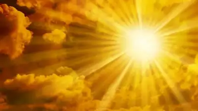 narodna-pravda.ua, фото - Новости Zakon.kz от 06.08.2020 11:22