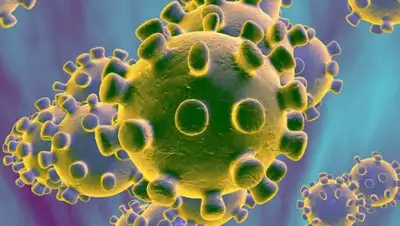 koronavirus.news, фото - Новости Zakon.kz от 27.03.2020 16:46